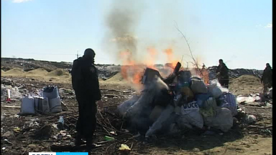 Воронежские полицейские уничтожили крупную партию запрещённых препаратов
