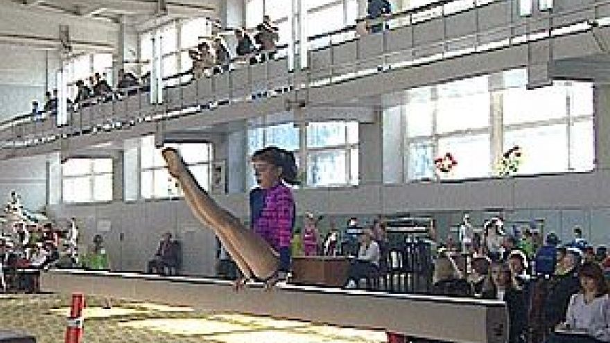 В Воронеже состоялся чемпионат по спортивной гимнастике