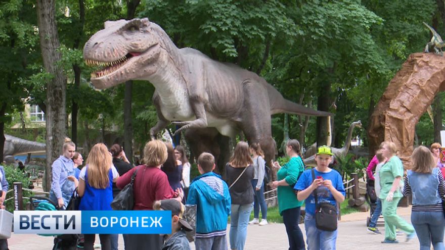 Мэрия Воронежа вернулась к планам благоустройства парка «Орлёнок»