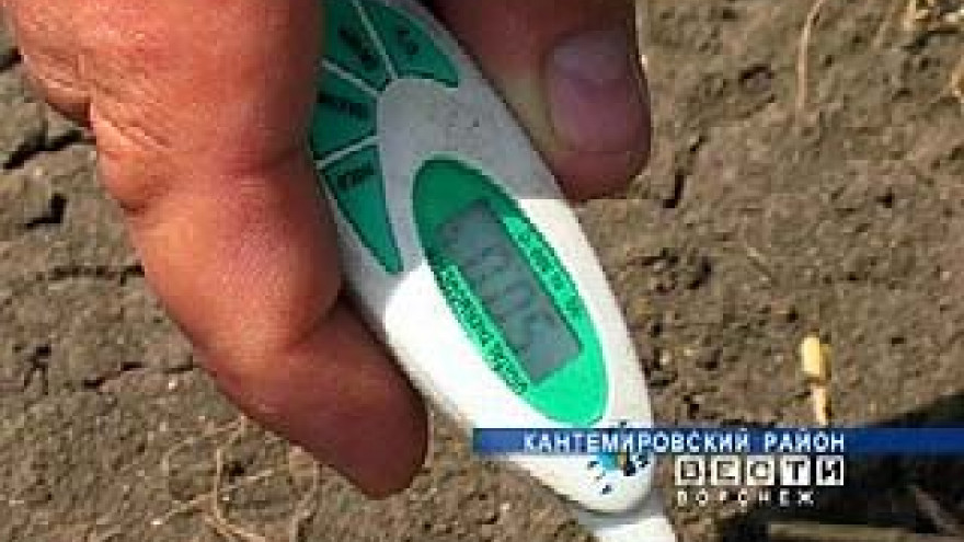 В Кантемировском районе ведется жестокая борьба за урожай