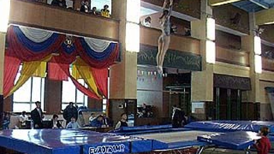 Воронежским спортсменам, получившим травму, будет выплачиваться пособие