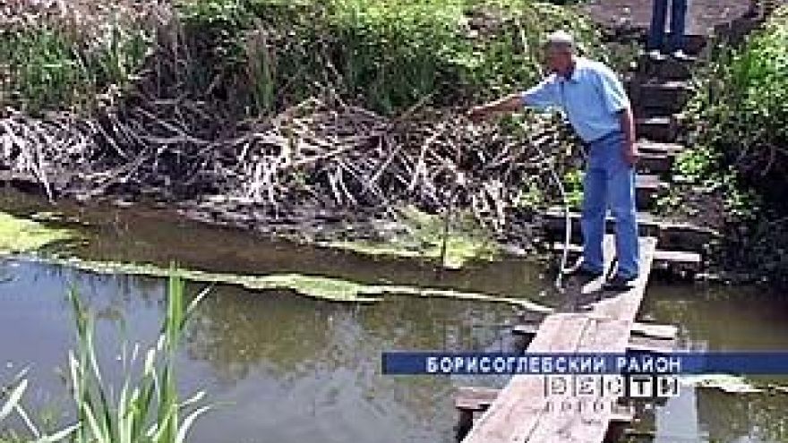 Хотели спасти речку, а в итоге сгубили ее