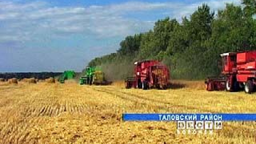 В Таловском районе началась уборочная кампания