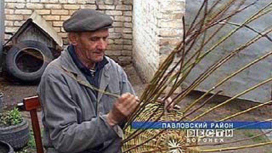 Лозоплетение переживает не лучшие времена