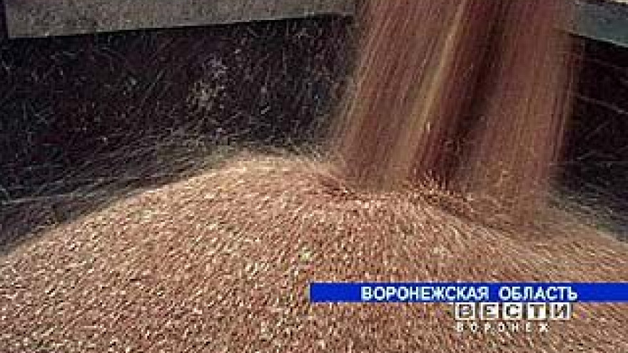 Два миллиона тонн зерна собрали воронежские аграрии