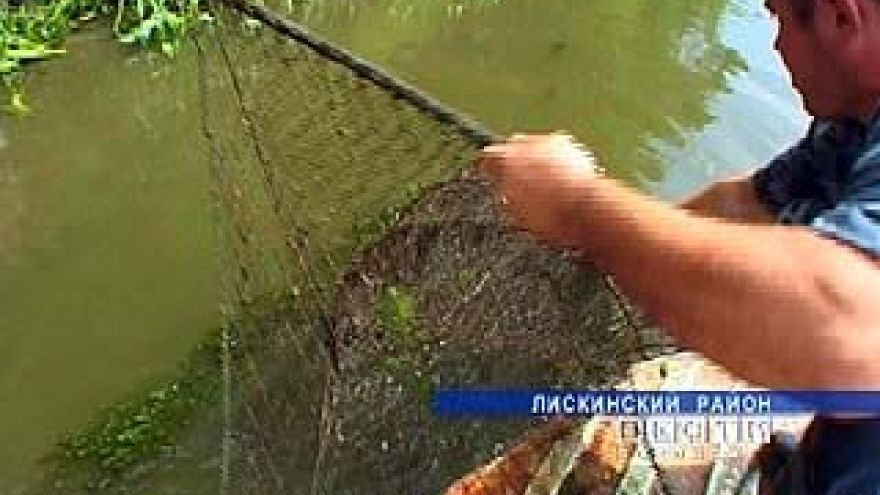 Воронежские реки и озера атакуют браконьеры