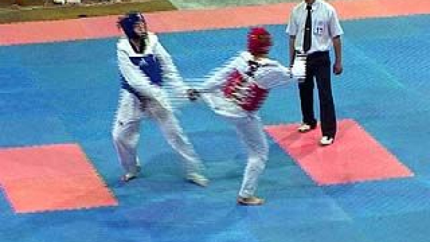Чемпионат Росси по тхэквондо финишировал в Воронеже