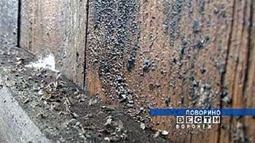 Комары приносят поворинцам массу неудобств