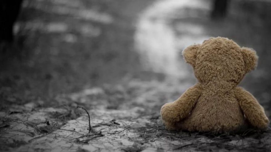Погибшего под Воронежем 3-летнего мальчика из липецкого села похоронят 22 июля
