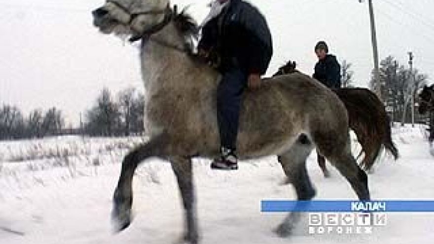 В Калаче создают школу верховой езды