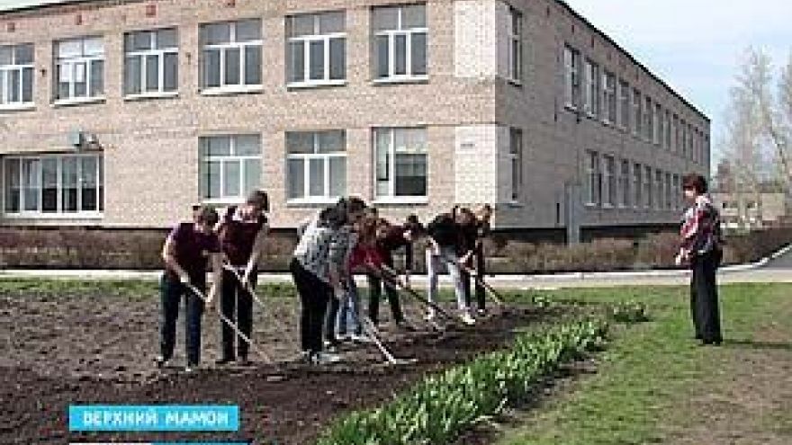 Верхнемамонские школьники стали лучшей ученической бригадой России
