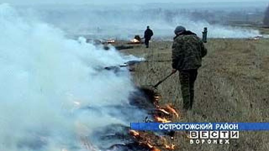Продолжаются весенние палы