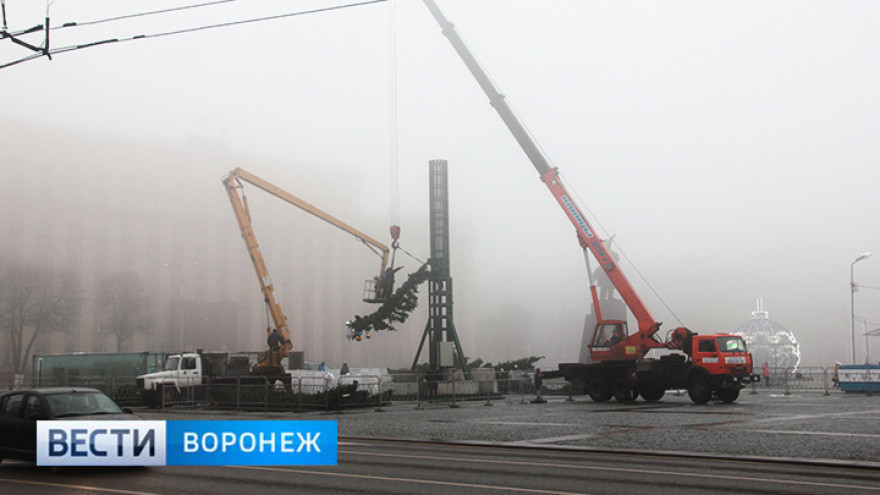 «Снежная королева». На площади Ленина начали установку главной ёлки Воронежа