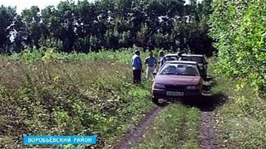 40 гектаров бывшей пашни общества "Рассвет" заросли деревьями