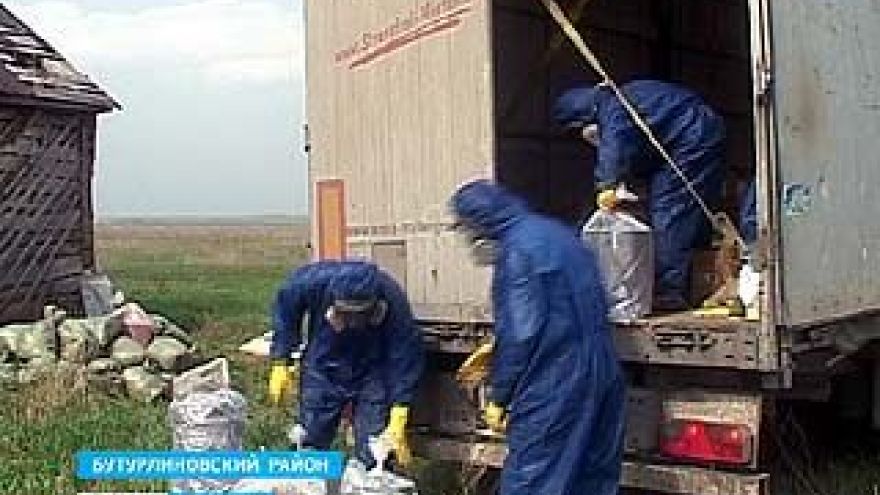 Ядохимикаты из села Кучеряевка Бутурлиновского района всё-таки начали вывозить