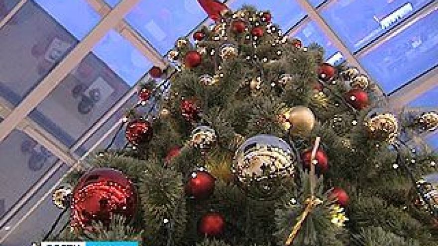 В "Центре Галереи Чижова" зажглась главная новогодняя ель