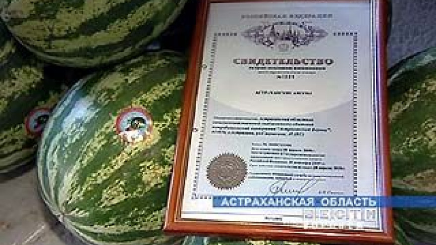 Астраханские арбузы отправились на рынки России