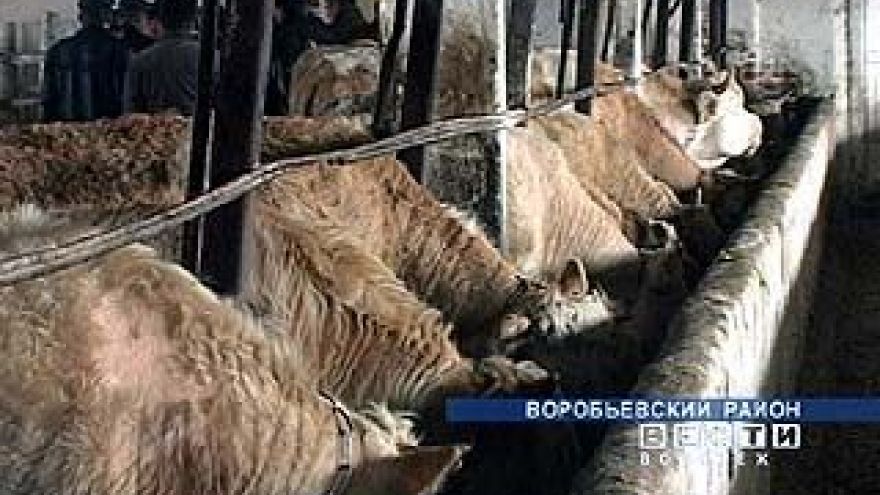 Проблемы развития с/х обсудили в Воробьёвском районе