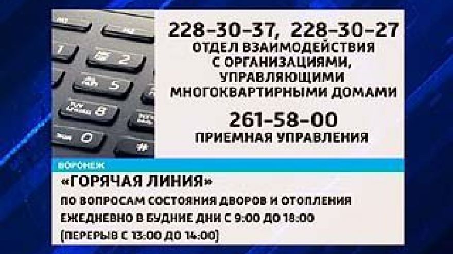"Горячая" коммунальная линия теперь принимает жалобы воронежцев по поводу платежек и холода в квартирах