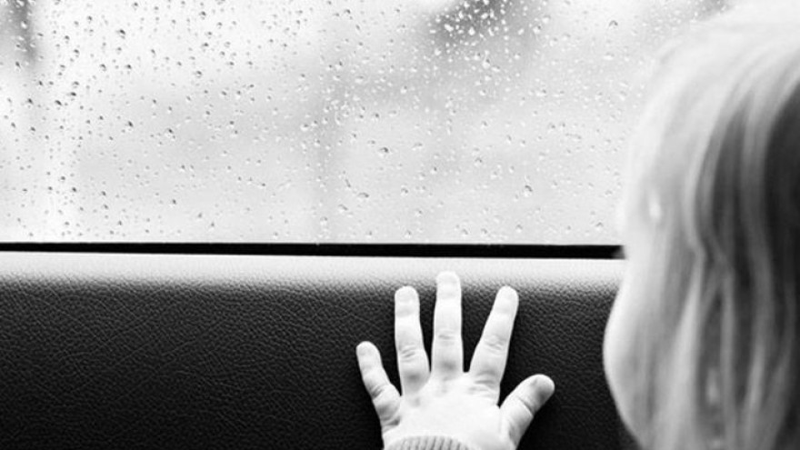4-летняя девочка из Россоши, госпитализированная с поезда Адлер-Киров, умерла от менингококковой инфекции