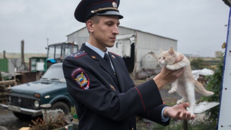 Избившего «Народного участкового» Воронежской области депутата отправили под домашний арест