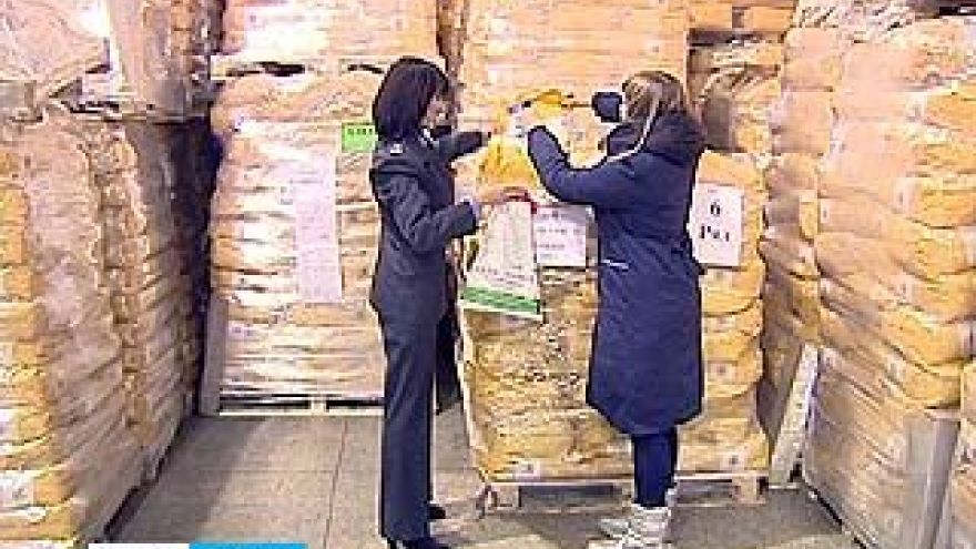 Инспекторы Россельхознадзора досматривают каждую партию ввозимых в область семян