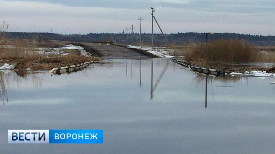 В Воронежской области сельчане оказались отрезаны от мира из-за затопленного моста