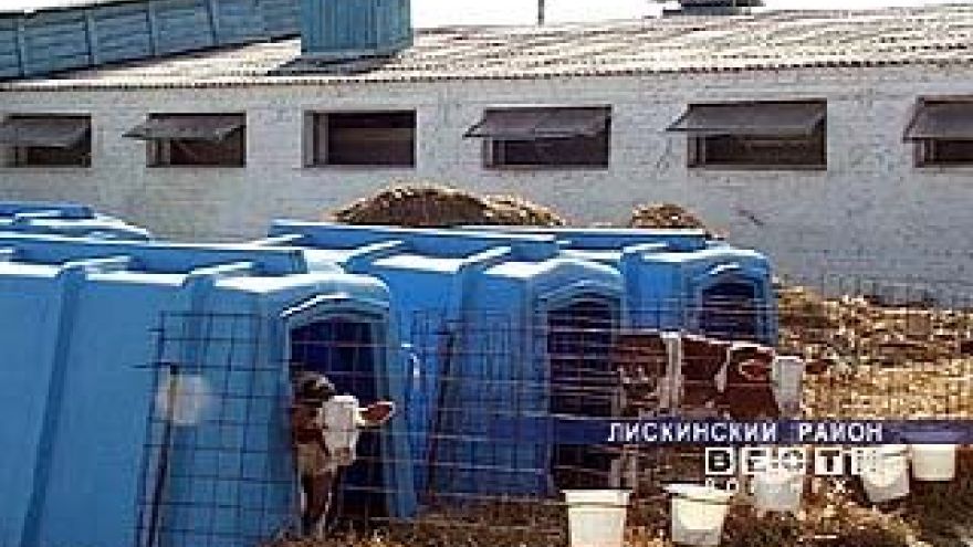 Животноводческие предприятия осваивают кредитные ресурсы