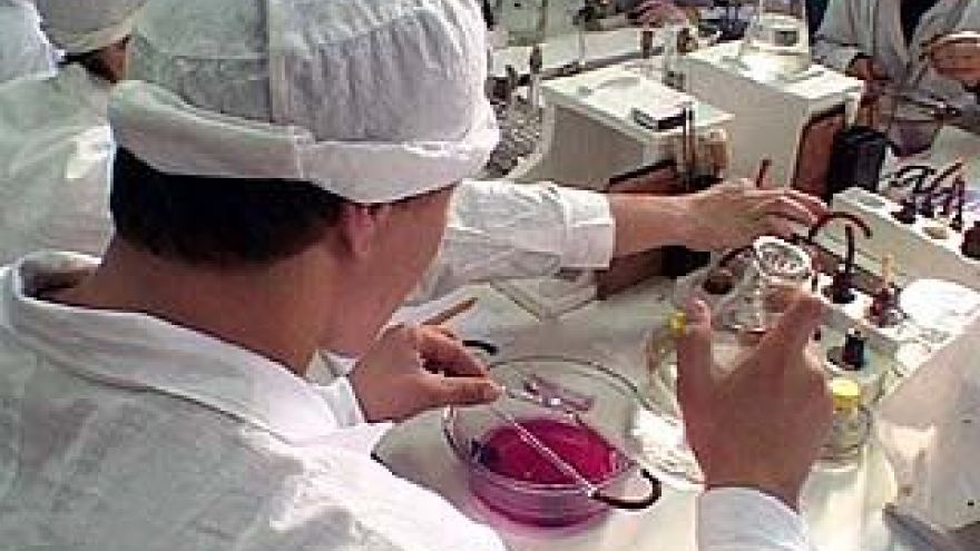 Фармацевты и биологи отметили профессиональный праздник