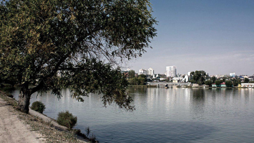Из Воронежского водохранилища достали ещё две части расчленённого тела