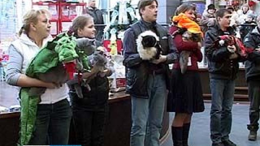 На выставке в Воронеже можно было увидеть кошек в костюмах драконов