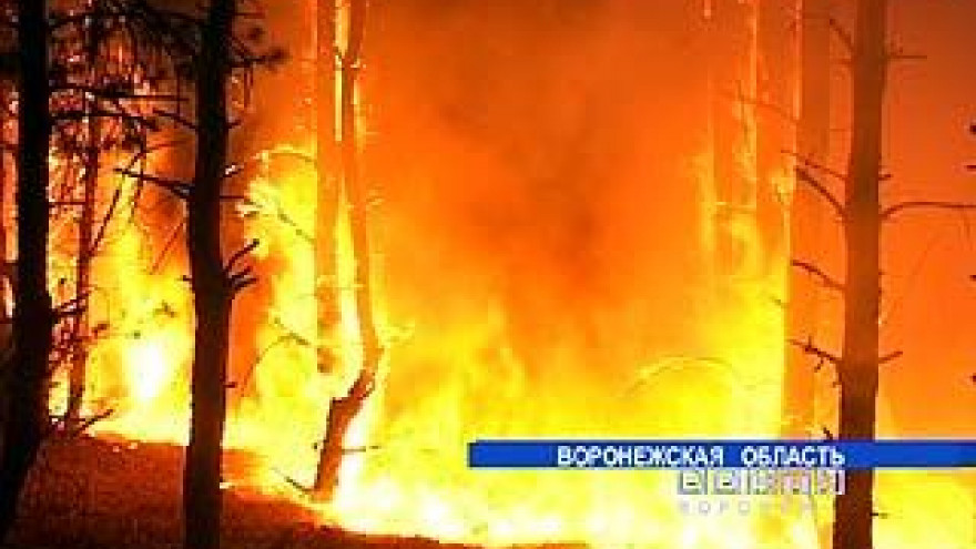 Лесной пожар в Бобровском районе мог уничтожить целое село
