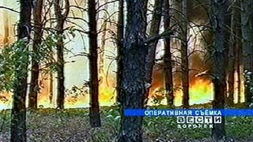 На полигоне "Погоново" ликвидирован крупный пожар