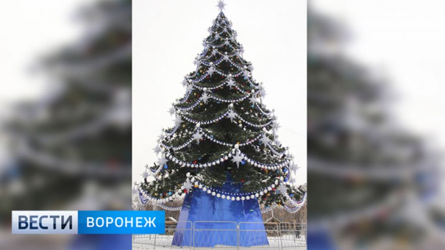 В Воронеже впервые отказались от уникального наряда для главной новогодней ёлки
