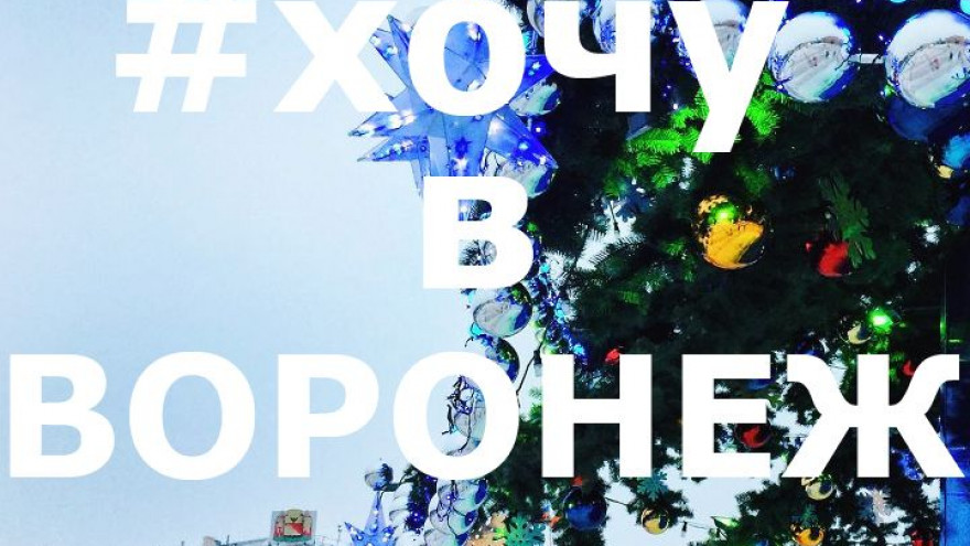28 лучших фото воронежцев из соцсетей за неделю