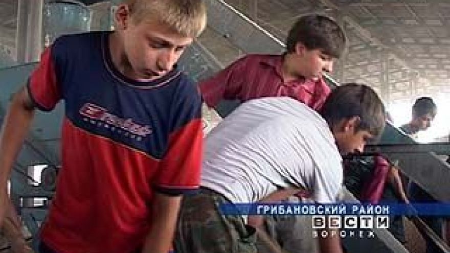 Грибановские школьники остаток каникул решили посвятить работе
