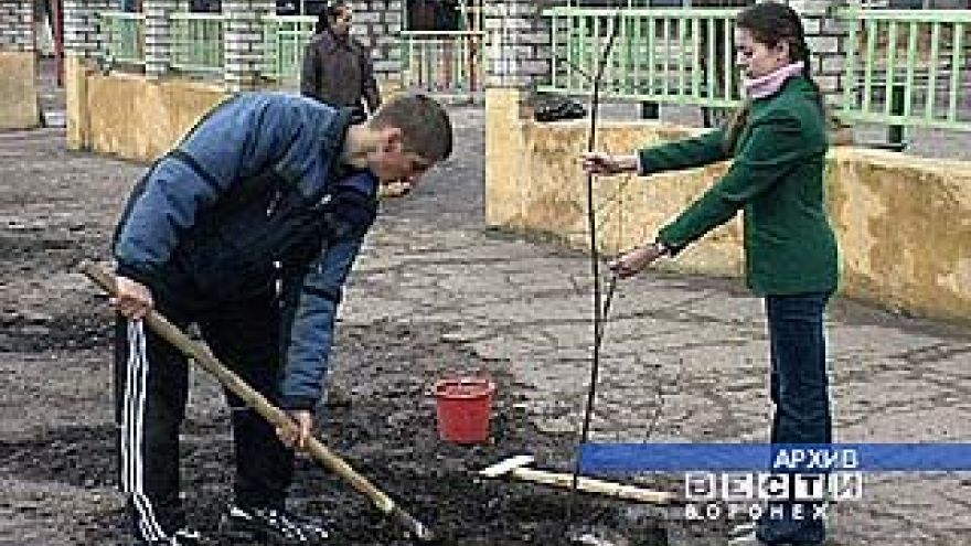 Полтысячи дубов, клёнов и берёз пустят корни на центральной аллее турбазы "Колос"