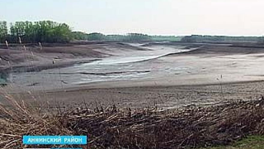 На самом большом пруде в Аннинском районе прорвало плотину