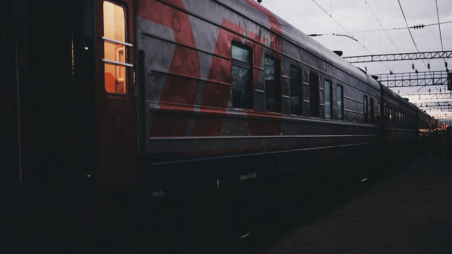 В МВД сообщили подробности загадочной смерти пропавшего из поезда воронежца