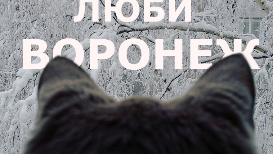 Белоснежный город на снимках воронежцев