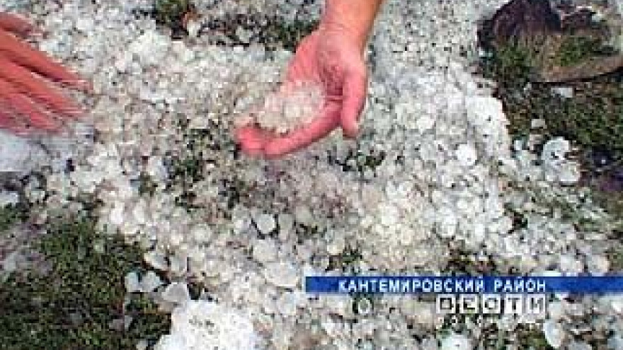 На юге Воронежской области подсчитывают убытки после града