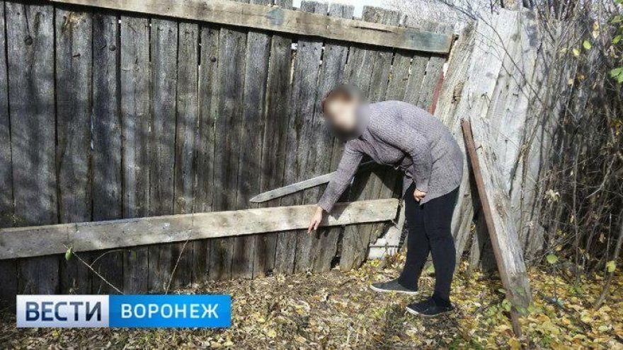 В Воронежской области будут судить мать, бросившую новорождённую дочь на улице