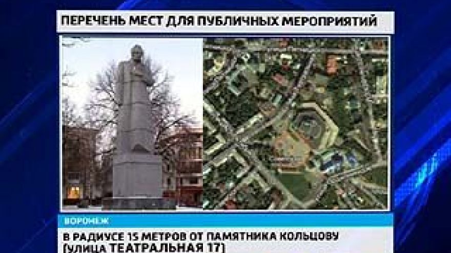 В Воронежской области определили места, где можно проводить митинги