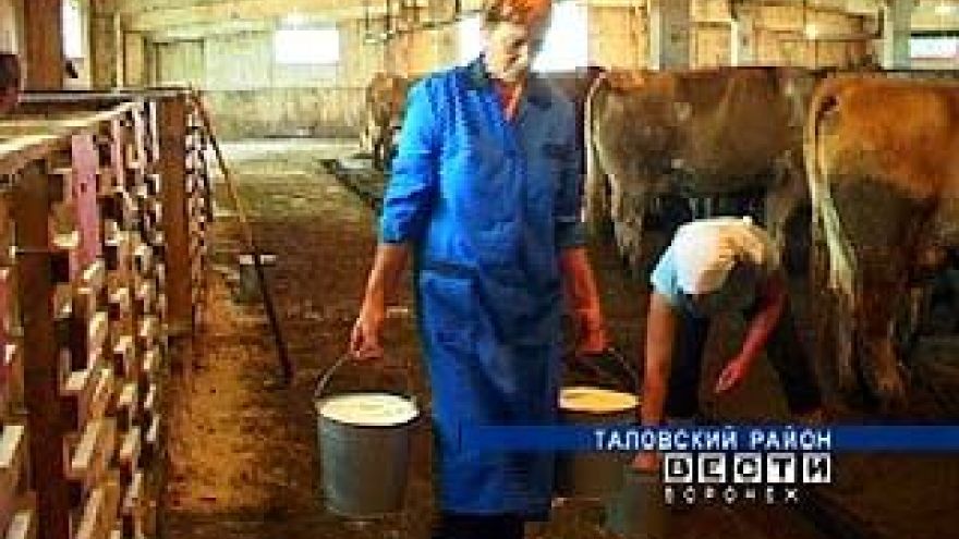Доярка Людмила Махинова побила рекорд Воронежской области