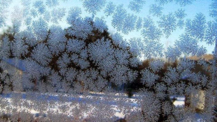 Ночью в Воронежской области будет лёгкий мороз