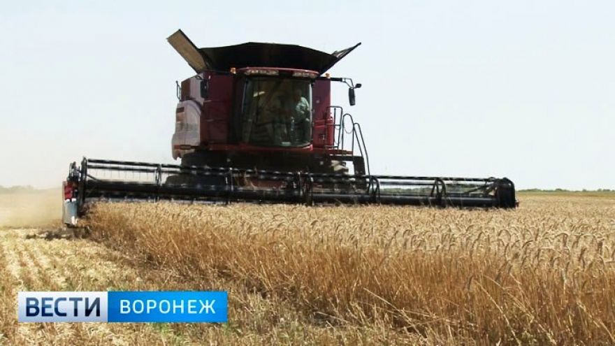 Воронежской области увеличили объем субсидий на создание объектов АПК