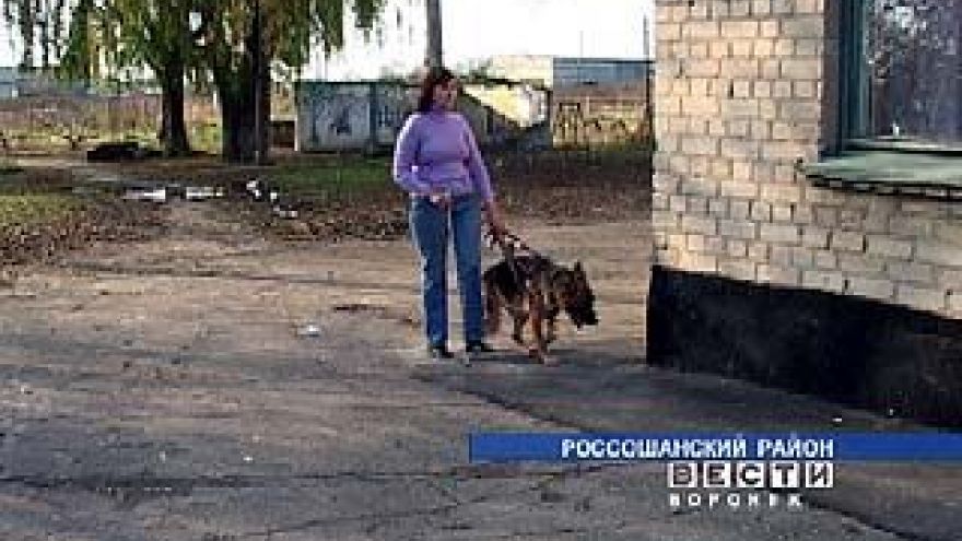 Жизнь человека доверили четвероногому проводнику