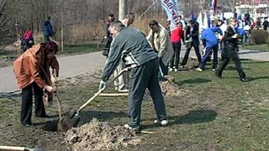 В Воронеже прошел общегородской субботник