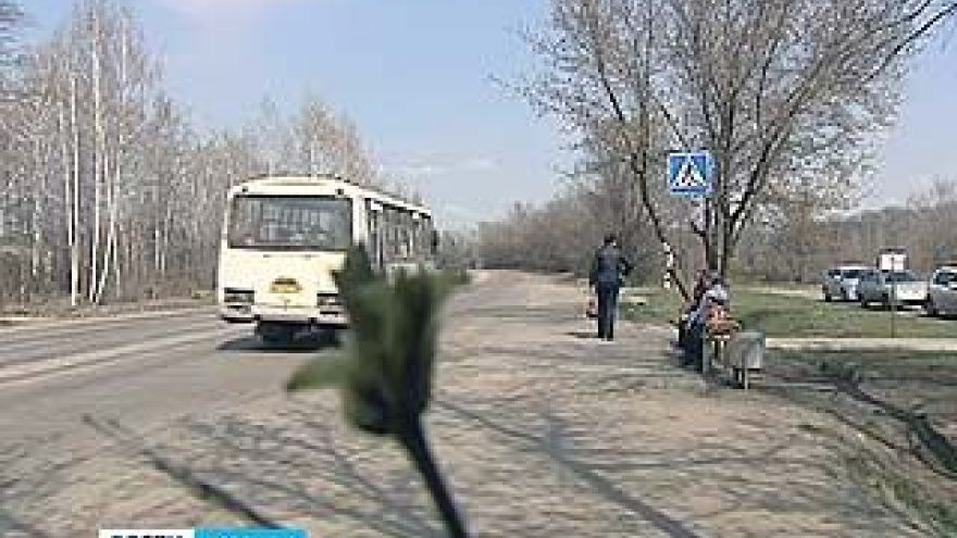 Запускаются восемь сезонных маршрутов общественного транспорта (список)