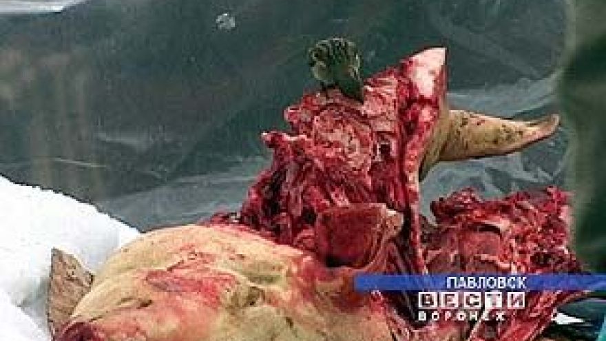 В Павловске мясом торгуют на улице